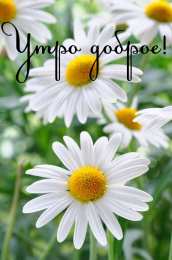 Доброго утра Открытки с надписью - доброе утро.  Открытки с добрым утром. 