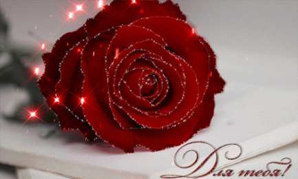 Для тебя Красивые открытки с цветами с надписью - для тебя. Цветы для тебя.