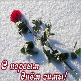 Открытки С первым днем зимы Открытки с первым днём зимы..  Поздравления с началом зимы.  Открытки с первым днём зимы.. Поздравления с началом зимы. Красивые открытки смотреть онлайн бесплатно. Открытки с поздравлениями с первым днем зимы. С началом зимы.