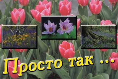 Просто так Открытки с цветами и надписью - просто так! Открытки для женщин.