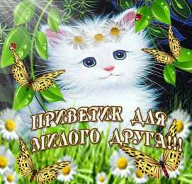 Привет другу/подруге Открытки с приветствием друзей. Открытки для друга и подруги.