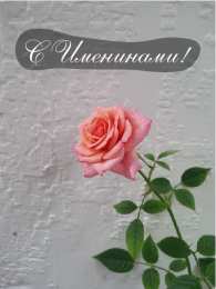 Открытки Именины Открытки на Именины. Поздравления с Именинами в открытках. Именины. Открытки на Именины. Поздравления с Именинами в открытках. Именины. Красивые открытки смотреть онлайн бесплатно. Поздравить с Именинами родных. День Именин поздравление.