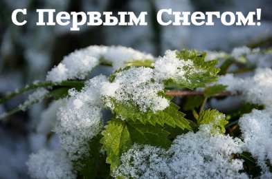 Открытки Первый снег Открытки к первому снегу. Поздравления с первым выпавшим снегом. Открытки к первому снегу. Поздравления с первым выпавшим снегом. Красивые открытки смотреть онлайн бесплатно. Первый снег поздравления для родных и близких. С первым снегом!