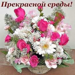 Удачной среды Открытки на среду скачать. Открытки на среду с пожеланиями бесплатно.