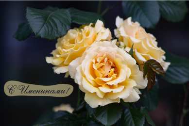 Открытки Именины Открытки на Именины. Поздравления с Именинами в открытках. Именины. Открытки на Именины. Поздравления с Именинами в открытках. Именины. Красивые открытки смотреть онлайн бесплатно. Поздравить с Именинами родных. День Именин поздравление.