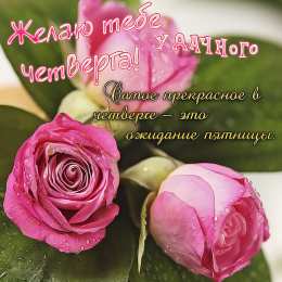 Удачного четверга Открытки с пожеланием удачного четверга. Открытки на четверг.