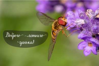 Лето Открытки на лето. Пожелания хороших летних дней. Летние открытки.