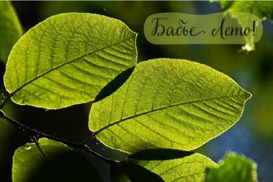 Бабье лето Открытки с поздравлениями на Бабье Лето. С Бабьим Летом! Праздник.