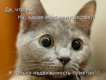 Прикольные открытки с животными Открытки с животными. Прикольные открытки с животными. Юмор и животные.