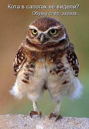 Прикольные открытки с животными Открытки с животными. Прикольные открытки с животными. Юмор и животные.