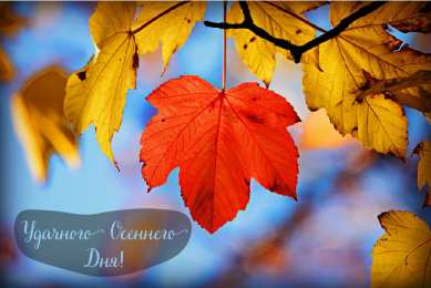 Открытки Осень Открытки на осень. Осенние открытки. С осенью поздравления.  Открытки на осень. Осенние открытки. С осенью поздравления. Красивые открытки смотреть онлайн бесплатно. Хорошего осеннего дня и осеннего утра. Осенние открытки для близких.