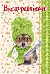 Открытки Выздоравливай! Открытки с пожеланиями скорейшего выздоровления. Выздоравливай! Открытки с пожеланиями скорейшего выздоровления. Выздоравливай! Красивые открытки смотреть онлайн бесплатно. Открытки с пожеланиями выздоровления и крепкого здоровья.