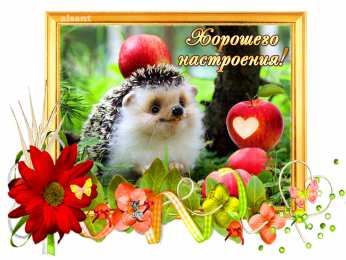 Хорошего настроения Открытки для хорошего настроения. Красивые открытки - хорошего настроения.