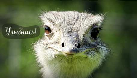 Открытки Улыбнись Открытки для улыбки. Пожелания хорошего настроения и улыбок. Открытки для улыбки. Пожелания хорошего настроения и улыбок. Красивые открытки смотреть онлайн бесплатно. Пожелания улыбок для родных и близких. Улыбнись миру!!