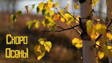Открытки Скоро осень Открытки в преддверии осени. Скоро осень поздравления. Осень близко. Открытки в преддверии осени. Скоро осень поздравления. Осень близко. Красивые открытки смотреть онлайн бесплатно. Скоро осень открытки в преддверии осени. Осень.