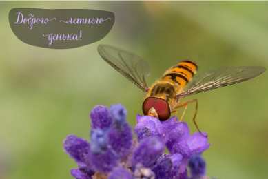 Лето Открытки на лето. Пожелания хороших летних дней. Летние открытки.