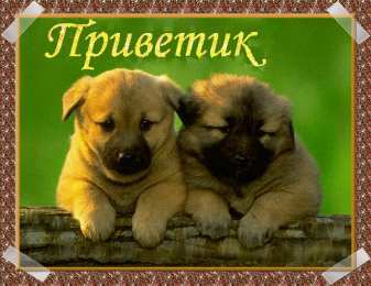 Привет другу/подруге Открытки с приветствием друзей. Открытки для друга и подруги.