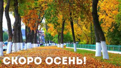Открытки Скоро осень Открытки в преддверии осени. Скоро осень поздравления. Осень близко. Открытки в преддверии осени. Скоро осень поздравления. Осень близко. Красивые открытки смотреть онлайн бесплатно. Скоро осень открытки в преддверии осени. Осень.