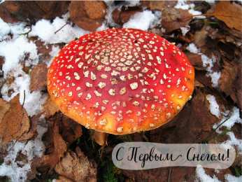 Открытки Первый снег Открытки к первому снегу. Поздравления с первым выпавшим снегом. Открытки к первому снегу. Поздравления с первым выпавшим снегом. Красивые открытки смотреть онлайн бесплатно. Первый снег поздравления для родных и близких. С первым снегом!