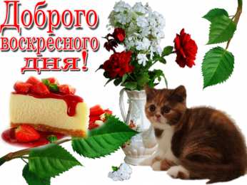 Удачного воскресенья Открытки с пожеланием удачного воскресенья. Открытки на воскресенье.