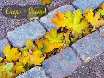 Открытки Скоро осень Открытки в преддверии осени. Скоро осень поздравления. Осень близко. Открытки в преддверии осени. Скоро осень поздравления. Осень близко. Красивые открытки смотреть онлайн бесплатно. Скоро осень открытки в преддверии осени. Осень.
