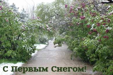 Открытки Первый снег Открытки к первому снегу. Поздравления с первым выпавшим снегом. Открытки к первому снегу. Поздравления с первым выпавшим снегом. Красивые открытки смотреть онлайн бесплатно. Первый снег поздравления для родных и близких. С первым снегом!