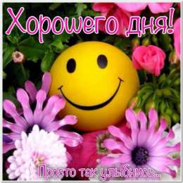 Хорошего дня Открытки с надписью - хорошего дня! Открытки на каждый день.