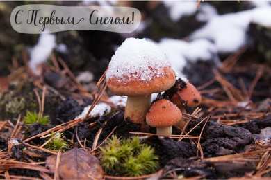 Открытки Первый снег Открытки к первому снегу. Поздравления с первым выпавшим снегом. Открытки к первому снегу. Поздравления с первым выпавшим снегом. Красивые открытки смотреть онлайн бесплатно. Первый снег поздравления для родных и близких. С первым снегом!