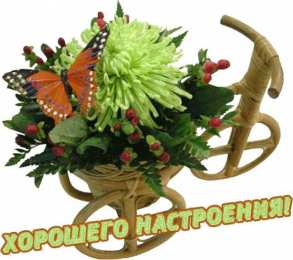 Для хорошего настроения Открытки с цветами для хорошего настроения. Порадовать открыткой.