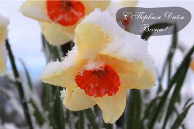 Открытки Первый день весны Открытки с поздравлениями с первым днём весны. Первый день весны. Открытки с поздравлениями с первым днём весны. Первый день весны. Красивые открытки смотреть онлайн бесплатно. Открытки с первым днем весны. Приятные пожелания.