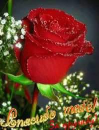 Спасибо за дружбу Открытки с любовью для друзей. Открытки другу и подруге, друзьям.