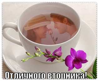 Удачного вторника Открытки с пожеланием удачного вторника. Хорошего вторника. 