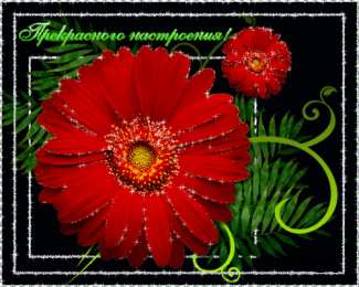 Для хорошего настроения Открытки с цветами для хорошего настроения. Открытки для женщин.