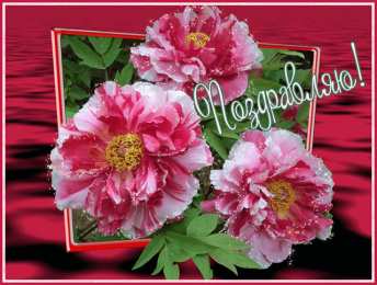 Поздравляю Открытки с цветами и надписью - поздравляю. Открытки для женщин.