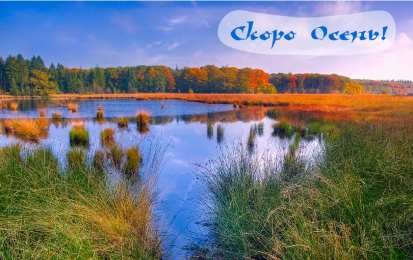Открытки Скоро осень Открытки в преддверии осени. Скоро осень поздравления. Осень близко. Открытки в преддверии осени. Скоро осень поздравления. Осень близко. Красивые открытки смотреть онлайн бесплатно. Скоро осень открытки в преддверии осени. Осень.