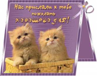 Прикольные пожелания Открытки с прикольными пожеланиями. Прикольные пожелания. Юмор.