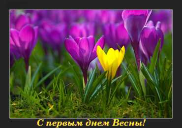 Открытки Первый день весны Открытки с поздравлениями с первым днём весны. Первый день весны. Открытки с поздравлениями с первым днём весны. Первый день весны. Красивые открытки смотреть онлайн бесплатно. Открытки с первым днем весны. Приятные пожелания.