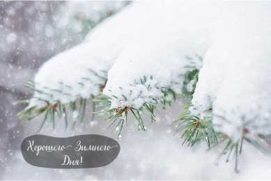 Открытки Зима Открытки на зиму. Зимние открытки на каждый день. Зимние поздравления. Открытки на зиму. Зимние открытки на каждый день. Зимние поздравления. Красивые открытки смотреть онлайн бесплатно. Открытки с зимним утром и зимним днём. Хорошей зимы.