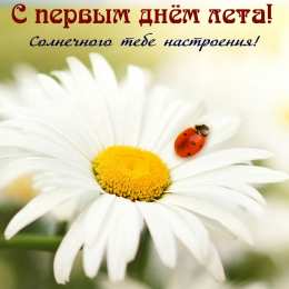 Открытки Первый день лета Открытки с поздравлениями с первым днём лета. Первый день лета. Открытки с поздравлениями с первым днём лета. Первый день лета. Красивые открытки смотреть онлайн бесплатно. Открытки к первому дню лета. Пожелания хорошего лета.