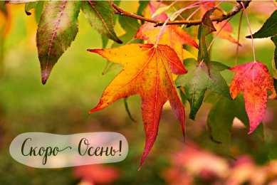 Открытки Скоро осень Открытки в преддверии осени. Скоро осень поздравления. Осень близко. Открытки в преддверии осени. Скоро осень поздравления. Осень близко. Красивые открытки смотреть онлайн бесплатно. Скоро осень открытки в преддверии осени. Осень.