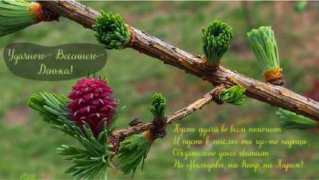 Открытки Весна Открытки на весну. Весенние открытки. Весенние пожелания на каждый день. Открытки на весну. Весенние открытки. Весенние пожелания на каждый день. Красивые открытки смотреть онлайн бесплатно. Весеннее настроение и пожелание хорошего дня.