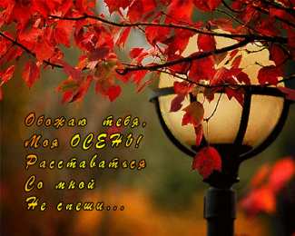 Открытки Осень Открытки на осень. Осенние открытки. С осенью поздравления.  Открытки на осень. Осенние открытки. С осенью поздравления. Красивые открытки смотреть онлайн бесплатно. Хорошего осеннего дня и осеннего утра. Осенние открытки для близких.