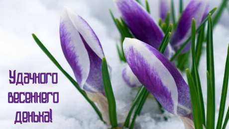 Открытки Весна Открытки на весну. Весенние открытки. Весенние пожелания на каждый день. Открытки на весну. Весенние открытки. Весенние пожелания на каждый день. Красивые открытки смотреть онлайн бесплатно. Весеннее настроение и пожелание хорошего дня.