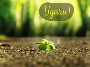 Открытки Удачи Открытки с пожеланиями удачи. Символы удачи в открытках. Желаю удачи! Открытки с пожеланиями удачи. Символы удачи в открытках. Желаю удачи! Красивые открытки смотреть онлайн бесплатно. Открытки на удачу для родных и близких. Удачи во всём!