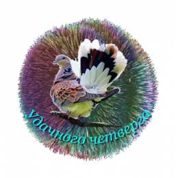  Удачного четверга