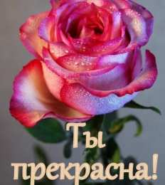  Ты прекрасна!