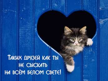  Открытки для друзей